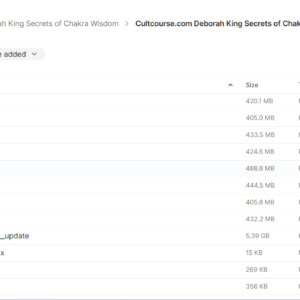 Deborah King Secrets of Chakra Wisdom