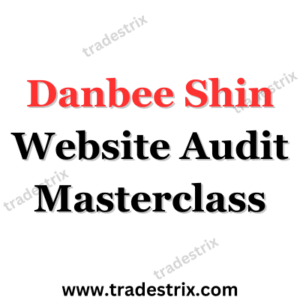 Danbee Shin Website Audit Masterclass